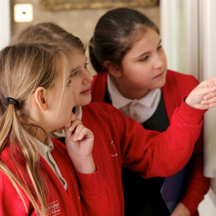 Three schoolchildren looking into a display case